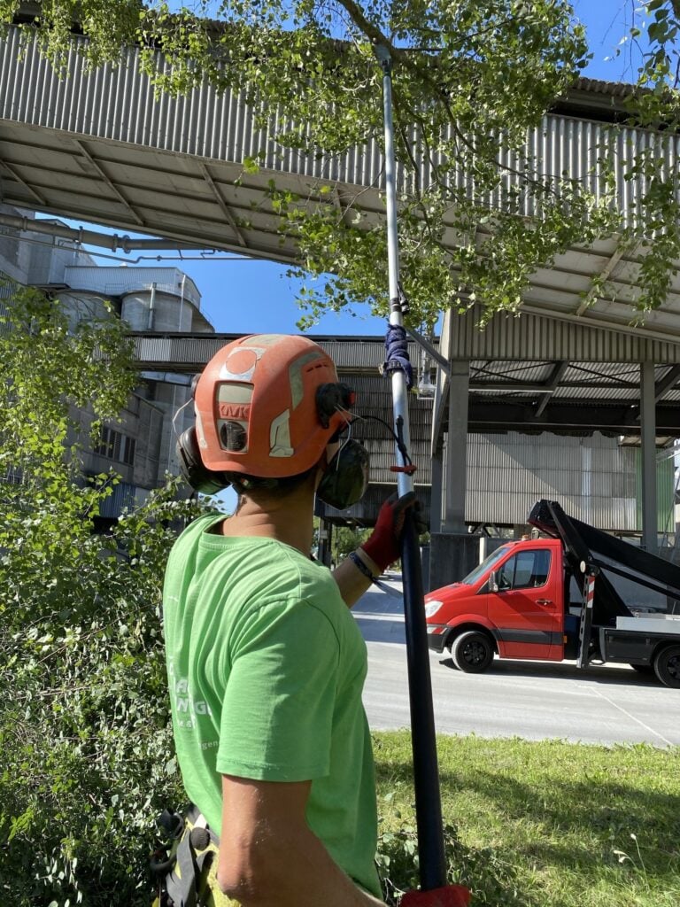 7 Best Websites To Buy Tree Service Leads - snapps.ai